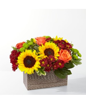 Happy harvest box Florists original