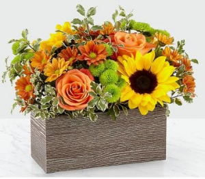 Happy Harvest Garden 19-F3 in Orlando, FL | Artistic East Orlando Florist Happy Harvest Garden 19-F3 in Orlando, FL | Artistic East Orlando Florist