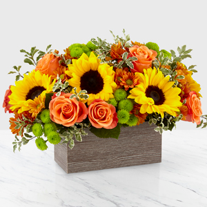 HAPPY HARVEST GARDEN