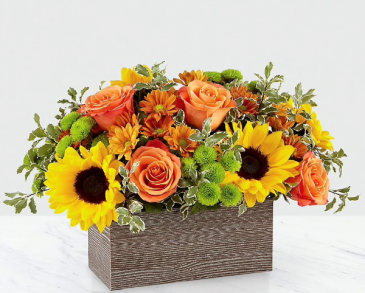  Harvest Garde  in Saint Cloud, FL | Bella Rosa Florist