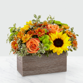 The FTD Happy Harvest Garden Any Occasion