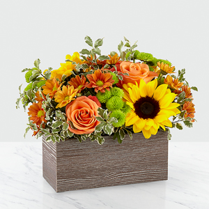 The FTD Happy Harvest Garden Any Occasion
