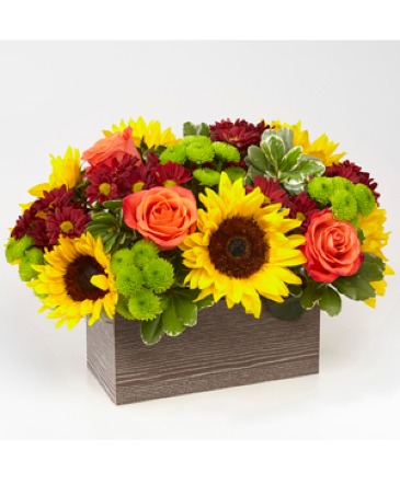 Happy Harvest Garden Arrangement in Fort Worth, TX | DARLA'S FLORIST