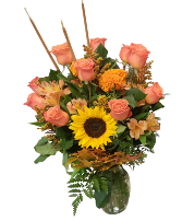 Happy Harvest Roses/ Variety