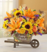 Happy Harvest Wheelbarrow From Roma Florist 