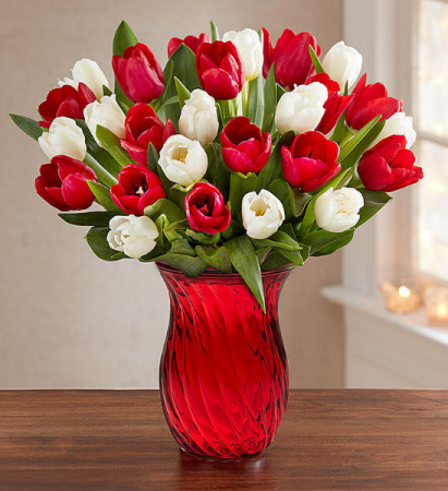 Happy Holiday Tulips in Red Vase 