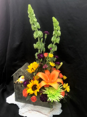 Happy Homemaker Birdhouse Fresh Arrangement in Coleman, WI | COLEMAN FLORAL & GREENHOUSES Happy Homemaker Birdhouse Fresh Arrangement in Coleman, WI | COLEMAN FLORAL & GREENHOUSES