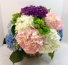 Happy Hydrangeas 