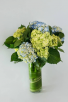 Happy Hydrangeas Vase Arrangement.
