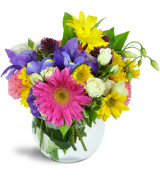 Happy in Colours - 414 Flower Arrangement 