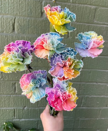 Happy Pride! Rainbow Carnations