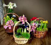 Happy Spring! Basket Gardens