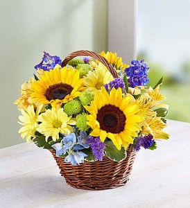 Sunshine Days fresh flowers