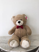 Happy Teddy bear 