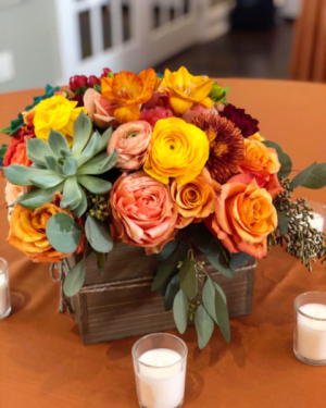 Winter Bloom in Sparta, NJ | Bluet Flower Co. Winter Bloom in Sparta, NJ | Bluet Flower Co.