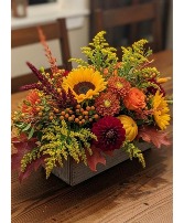 Happy Thanksgiving thanksgiving