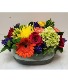 Happy Times  Compact  Arrangement