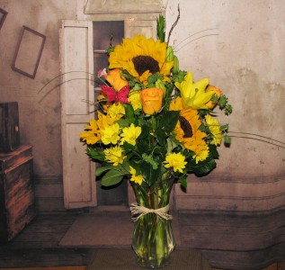 Charming Sunflowers