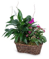 Harmony Basket with Butterflies Flower Arrangement