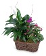 Purchase this funeral home arrangement