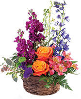 Harmony's Basket Basket Arrangement in Barrie, Ontario | FLOWERS AND PINEWORLD