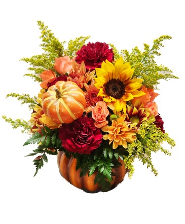 Harvest  in Schuylkill Haven, PA | Freed's Flowers