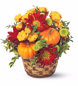 Harvest Pumpkin Basket 