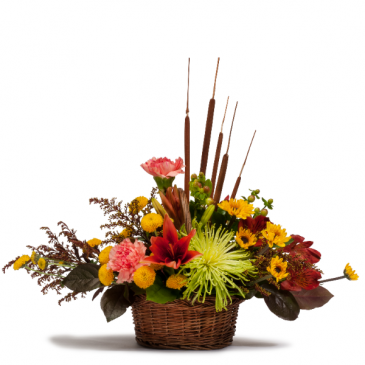 Harvest Basket  in Killeen, TX | Marvel's Flowers & Flower Delivery