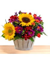 Sunflower Picnic Basket  Arrangement 