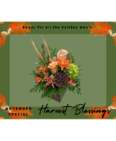 Harvest Blessings November Special