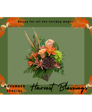 Harvest Blessings November Special