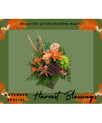 Harvest Blessings November Special