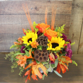 HARVEST BLOOMS