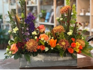 Harvest Box 
