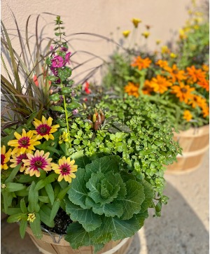 Harvest Bushel Basket  