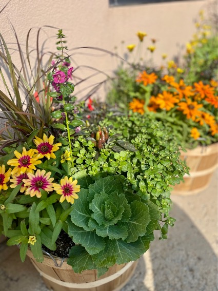 Harvest Bushel Basket  