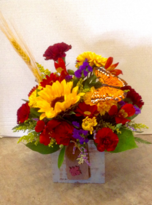 Harvest Celebration Fresh