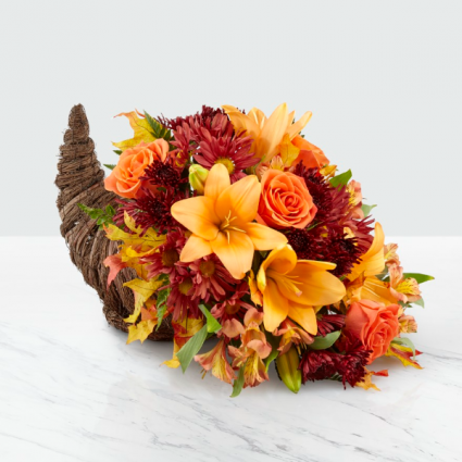 Harvest Comfort Cornucopia