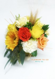 Harvest Fields FFTG-02