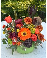 Harvest Glow all occasion 