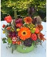 Harvest Glow all occasion 
