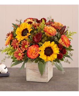 Harvest Glow Bouquet 