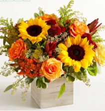 Harvest Glow Bouquet 