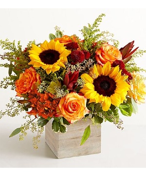 Harvest Glow Bouquet 