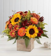 Harvest Glow Bouquet™ Arrangement