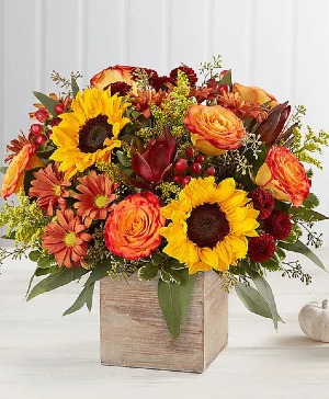 Harvest Glow Bouquet every day