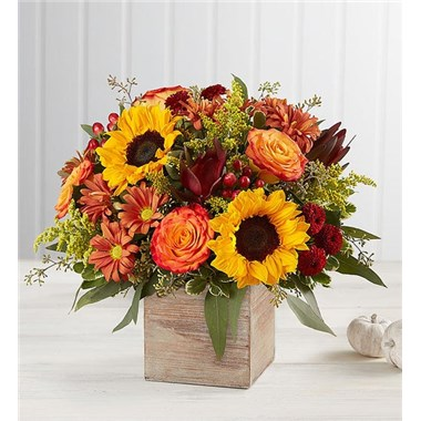 Harvest Glow Fall Arrangement