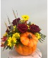 Harvest Glow Pumkin By Enchanted Florist of Cape Coral 