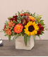 Harvest Glow Small - 191123 