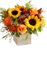 Harvest Glow thanksgiving